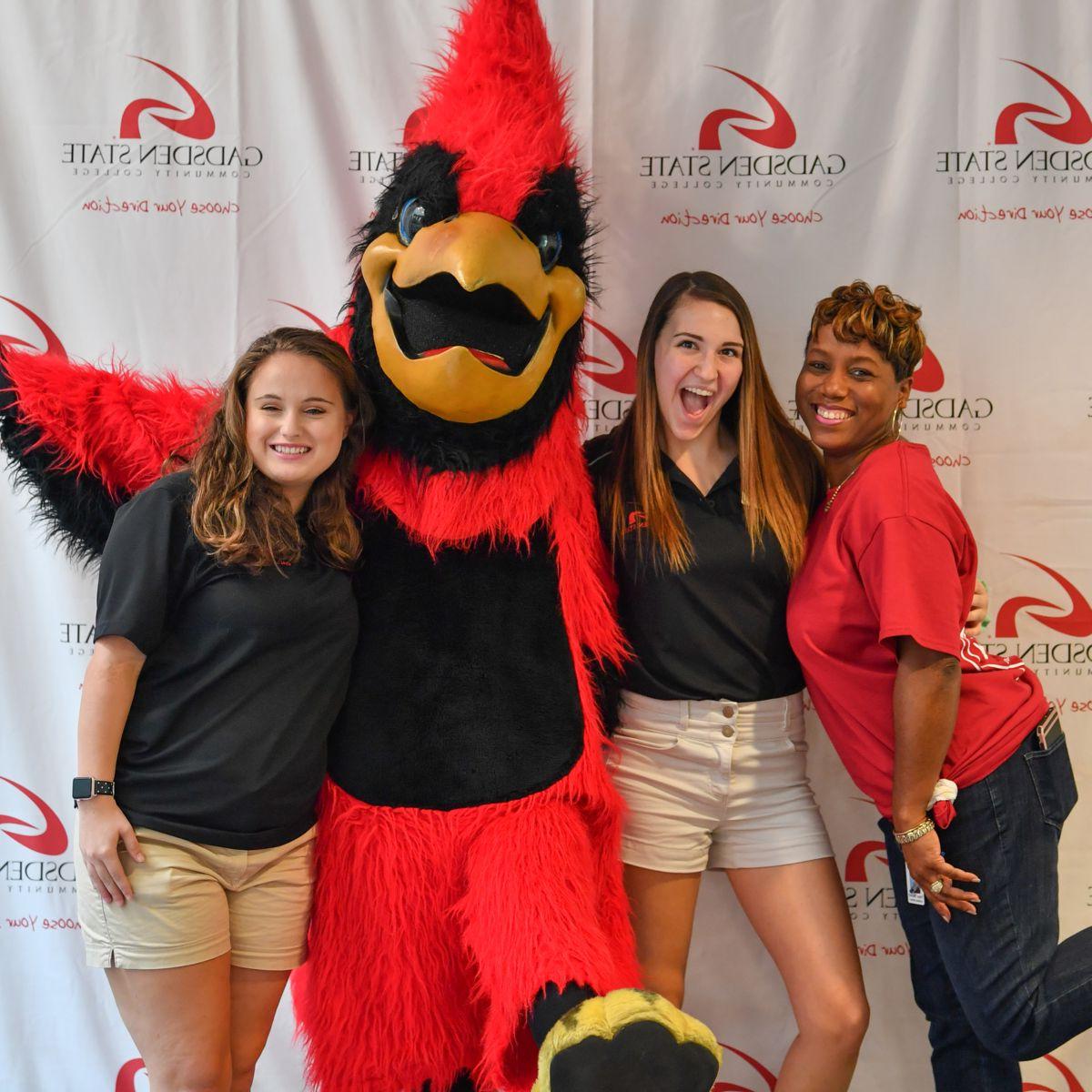 Alumni with Swoop